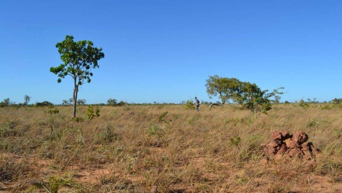 Sucesso na proteção da Amazônia encobre destruição silenciosa